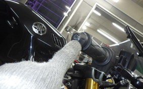 YAMAHA YZF-R15 2006 RG86J