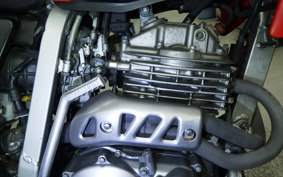 HONDA XR250 GEN 2