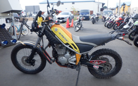 YAMAHA TORITSU CAR DG10J