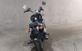 TRIUMPH THUNDERBIRD 1995 395DJX