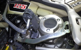 HONDA CT125 HUNTER CUB 2022 JA55