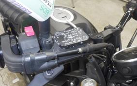 YAMAHA XSR125 2024 RE46J