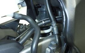 HONDA CBR250RR A MC51