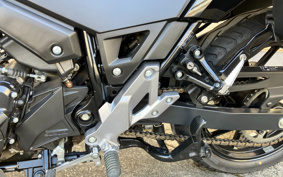 SUZUKI STROM 250 DS11A