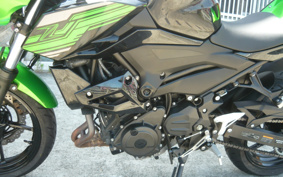 KAWASAKI Z400 ABS 2019 EX400G