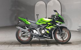 KAWASAKI Ninja 150RR KR150P