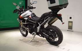 TRIUMPH TIGER 900 RALLY PRO 2024