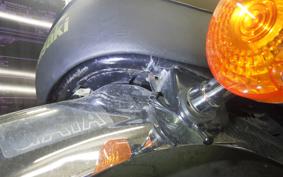KAWASAKI W800 2011 EJ800A