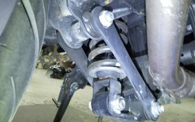 KAWASAKI NINJA 250R 2021 EX250K