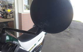 YAMAHA  SEROW 250 FINAL ED DG31J