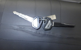 KAWASAKI KLX125D TRACKER 2019 LX125D