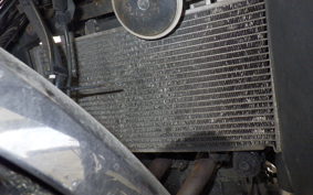 KAWASAKI NINJA 250 EX250L