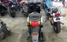 HONDA TACT Basket AF79
