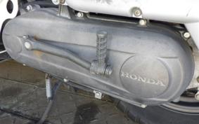 HONDA ZOOMER AF58