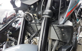 YAMAHA MT-25 A RG74J