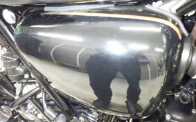 KAWASAKI W800 CAFE 2023 EJ800E