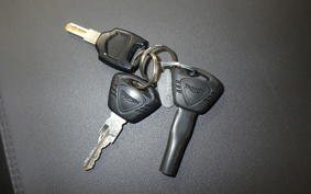 TRIUMPH TIGER 800 2015