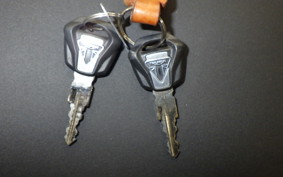 TRIUMPH TIGER 900 GT 2020