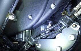 HARLEY XL1200NS 2021