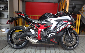 KAWASAKI NINJA ZX-25R SE ZX250E