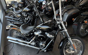 HARLEY FXST1340-1450 2020 BVJ