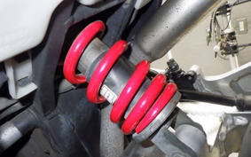 HONDA HORNET 250 2009 MC31