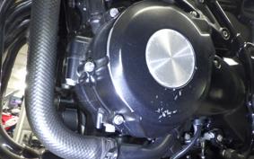 KAWASAKI Z900RS 2023 ZR900K