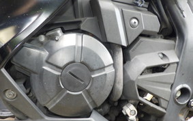KAWASAKI Z250 ER250C