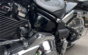 HARLEY  HARLEY FLFBS 2021 YGK