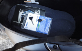 YAMAHA MAJESTYS SG52J