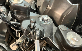 SUZUKI GSX250 R DN12B