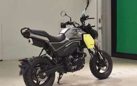 OTHER +CF PAPIO XO-2 2019