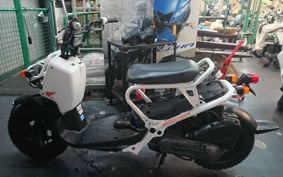 HONDA ZUMAR AF58