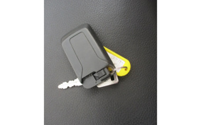 SUZUKI SKYWAVE 250S-1 CJ46A