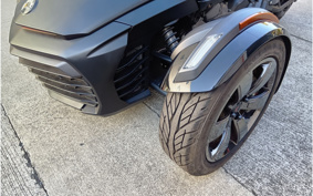 OTHER KANNAMUSPYDER F3-S 2016