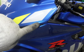 SUZUKI GSX-R125 DL33B