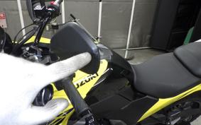 SUZUKI Vｽﾄﾛｰﾑ250SX 2024 EL11L