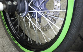 KAWASAKI KLX250D TRACKER X 2024 LX250V