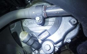 HONDA FORESIGHT EX MF04