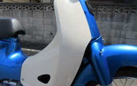 HONDA SUPER CUB50 AA09