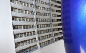 SUZUKI SKYWAVE 250 (Burgman 250) S 2 CJ43A