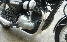 KAWASAKI W800 FINAL ED 2016 EJ800A