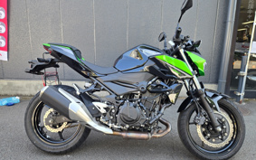 KAWASAKI Z250 EX250Y