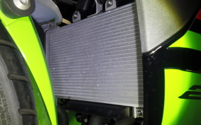 KAWASAKI NINJA 250 2 2019 EX250Y