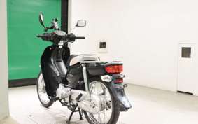 HONDA C110 SUPER CUB 2009 JA10