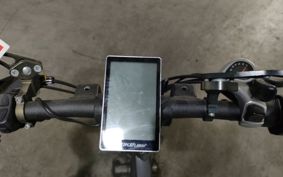 OTHER MINI BIKE ..