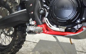 BETA クロス TRE-ナー250