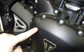 TRIUMPH SPEED 400 2025