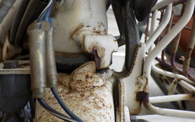 HONDA NOVIO PM50
