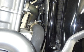 OTHER +HD. V-ROD ﾏｯｽﾙ1250 2009